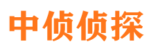 平陆市场调查